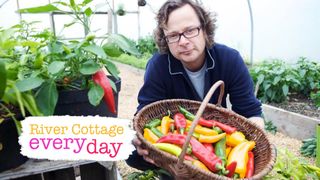 River Cottage: Every Day