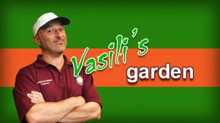Vasili's Garden