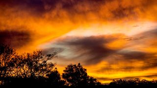 ABC News Afternoons