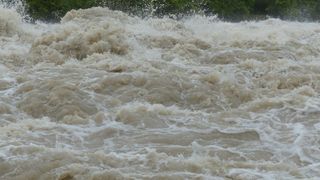7news Presents: Sydney's Water Torture