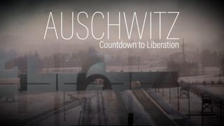 Auschwitz: Countdown to Liberation