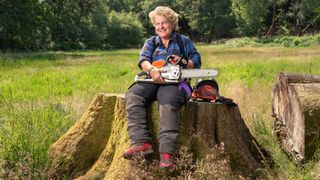 Sandi's Wood