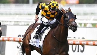 Flashback - Memsie Stakes