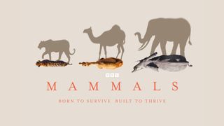 Mammals