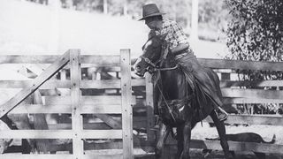 Sunny and the Dark Horse