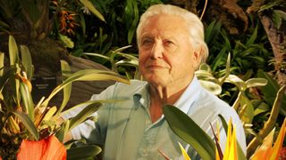 David Attenborough's Kingdom of Plants
