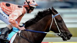 Black Caviar - Horse of a Lifetime