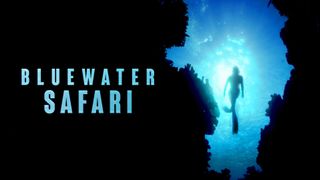 Bluewater Safari