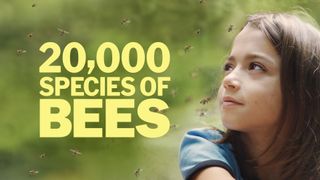 20,000 Species of Bees