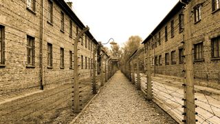 Inferno: Letters from Auschwitz