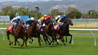 Australian Racing Year