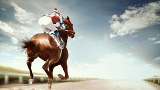 Flashback - Feehan Stakes