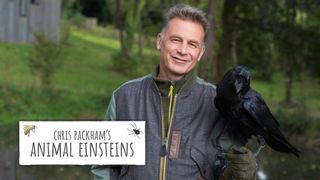 Chris Packham's Animal Einsteins