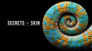 Secrets of Skin