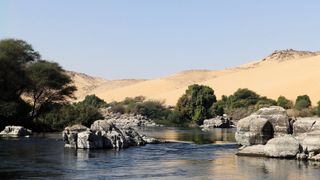 Rescuing the Nile's Sunken Temple