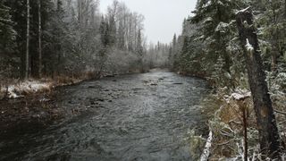 The Dyatlov Pass Incident
