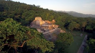 Naachtun: The Forgotten Mayan City