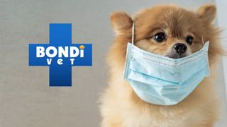 Bondi Vet: Collection