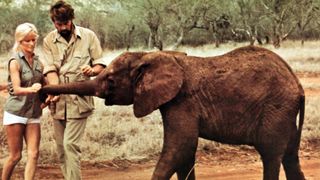 An Elephant Called Slowly