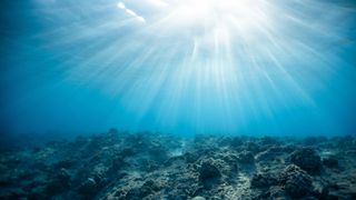 My Underwater World
