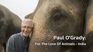 Paul O'Grady: For the Love of Animals - India