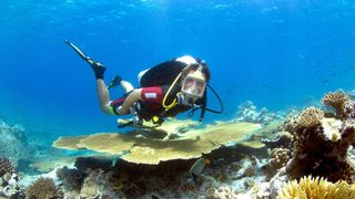 Britain's Secret Treasure Islands