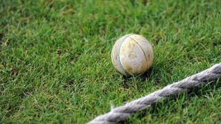 Women's International T20 Cricket