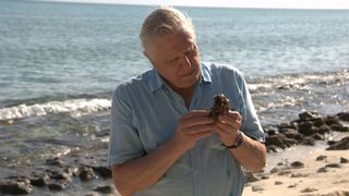 David Attenborough's First Life