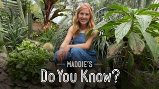 Maddie's Do You Know?