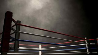 Stable: The Boxing Game