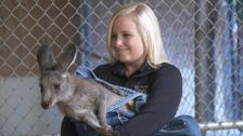 S1 E3: Kangaroo-mance