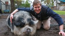 S8 E7: Bondi Vet
