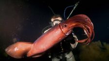 S2 E1: Baja California, Mexico