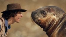S1 E28: Andy and The Sea Lions