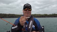 S8 E5: Chasing Baitfish