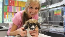 S3 E9: Bondi Vet