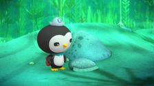 S1 E47: The Crafty Cuttlefish