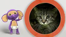 S1 E1: Fantus and the Cats