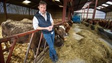 S8 E7: The Yorkshire Vet