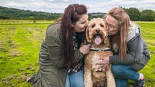 S11 E9: The Yorkshire Vet