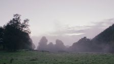 S16 E9: Riwaka