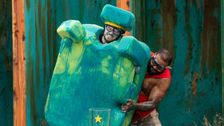 S11 E19: I'm A Celebrity...Get Me Out Of Here!