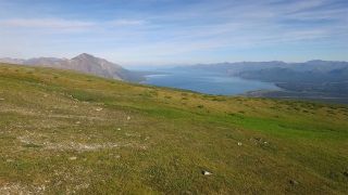 Carbon Cycles and Climate Change in the Tundra