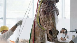 Brandenburg Gate: The Untold Story