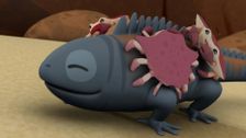 S3 E15: Red Rock Crabs