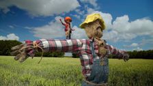 S1 E15: Scarecrow