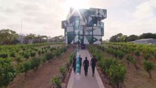 S10 E26: MasterChef Australia