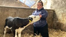 S15 E4: The Yorkshire Vet