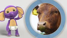 S1 E5: Fantus and the Cow