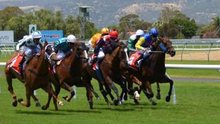 Australasian Racing Year